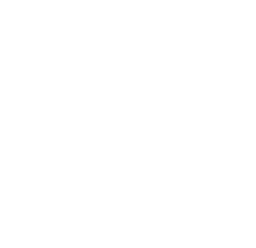 icone pulmão
